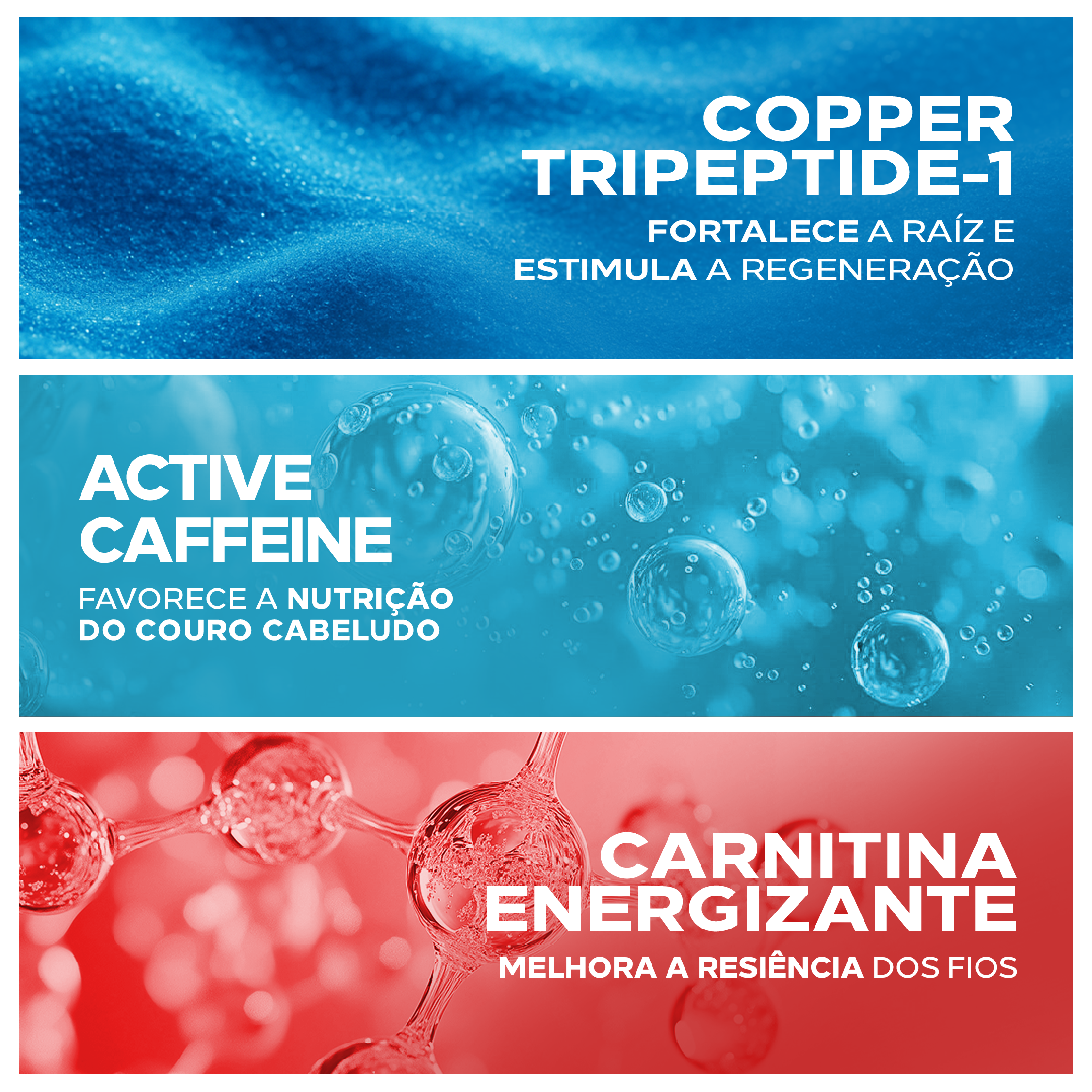 Copper Tripeptide-1, Cafeína Ativa e Carnitina Energizante na linha Amplexe Antiqueda Ada Tina fortalecem o cabelo.