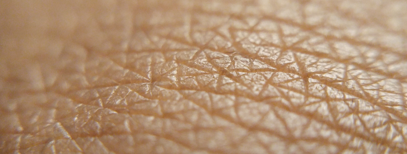 Ceramidas, Pantenol e Niacinamida: o trio perfeito para barreira cutânea