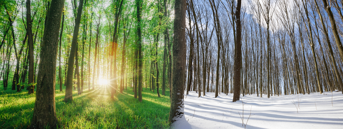 Como fazer a transição da rotina de skincare do verão para o inverno