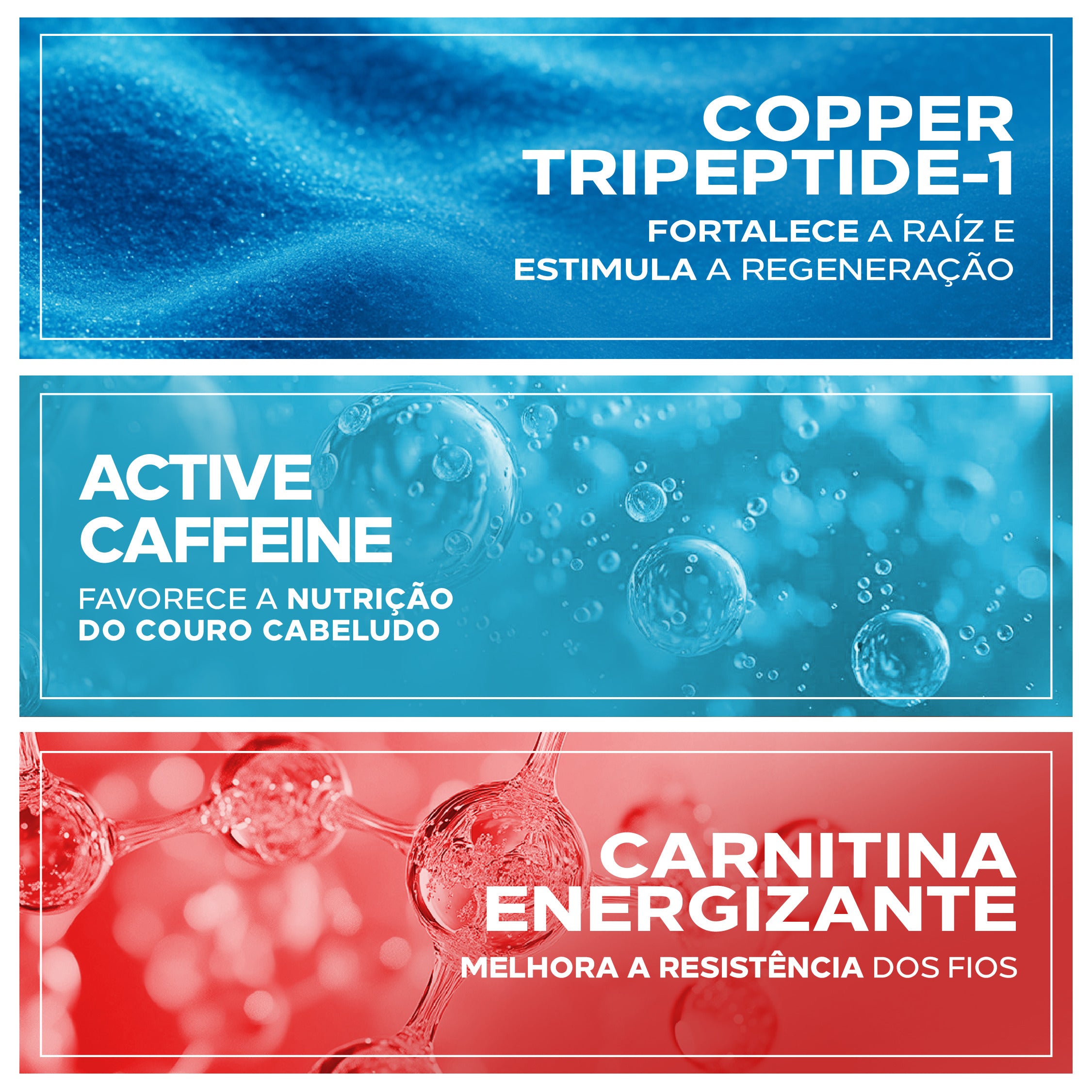 Copper Tripeptide-1 fortalece a raiz, Cafeína nutre o couro cabeludo e Carnitina energiza os fios.