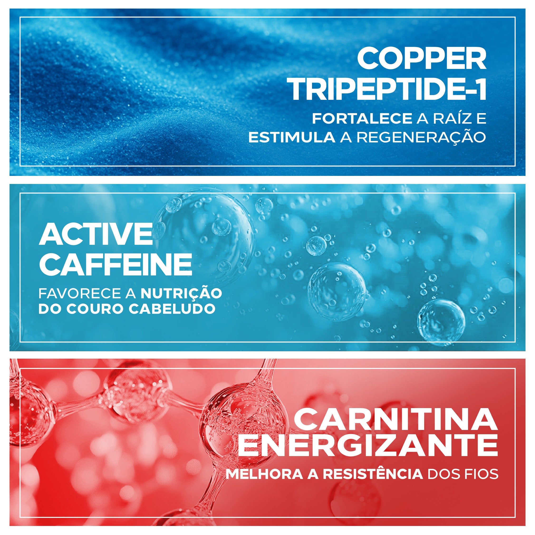 Copper Tripeptide-1, Cafeína Ativa e Carnitina Energizante no Amplexe Antiqueda Ada Tina fortalecem o cabelo.