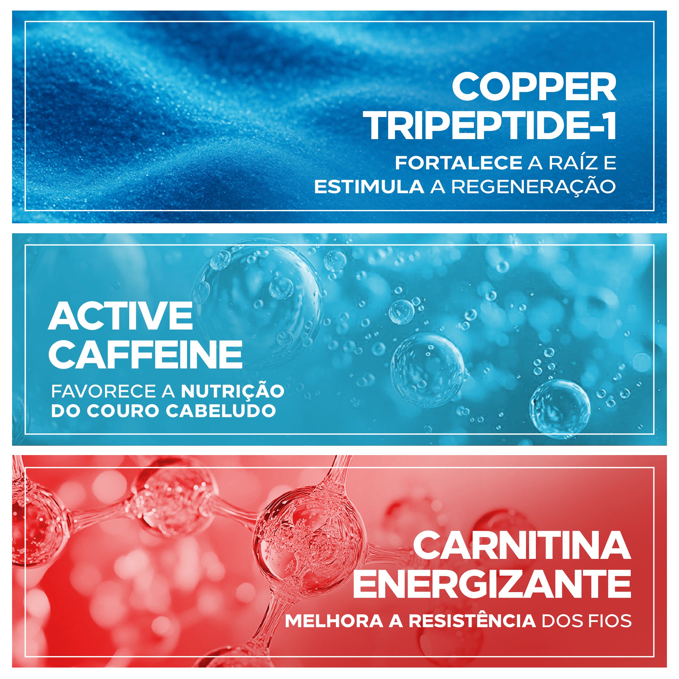 Ingredientes do Amplexe Antiqueda: copper tripeptide, active caffeine e carnitina energizante.